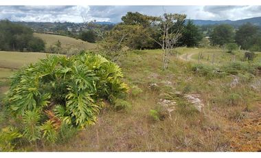 Venta Lote Zona Alta Valorización Buen Area y Vistas Capiro