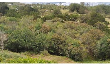 Venta Lote Zona Alta Valorización Buen Area y Vistas Capiro