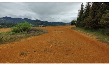 Venta Lote Zona Alta Valorización Buen Area y Vistas Capiro