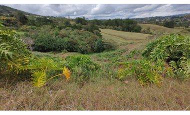 Venta Lote Zona Alta Valorización Buen Area y Vistas Capiro