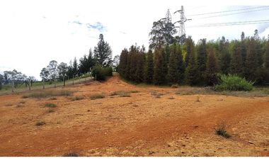 Venta Lote Zona Alta Valorización Buen Area y Vistas Capiro