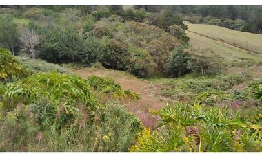 Venta Lote Zona Alta Valorización Buen Area y Vistas Capiro