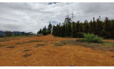 Venta Lote Zona Alta Valorización Buen Area y Vistas Capiro