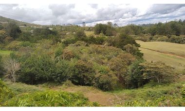 Venta Lote Zona Alta Valorización Buen Area y Vistas Capiro
