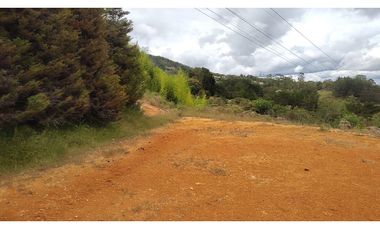 Venta Lote Zona Alta Valorización Buen Area y Vistas Capiro