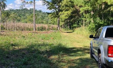 Se vende 29 ha. con 4 ha de Yerba Mate. Gobernador Roca Misiones