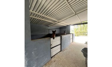 Finca Amoblada en Venta en Marinilla - Antioquia
