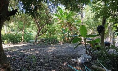 Lote En La Zona Hotelera De Palomino A Tres Calles Del Mar En Colombia