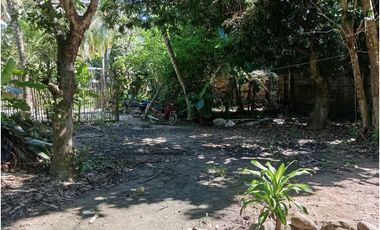 Lote En La Zona Hotelera De Palomino A Tres Calles Del Mar En Colombia