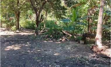 Lote En La Zona Hotelera De Palomino A Tres Calles Del Mar En Colombia