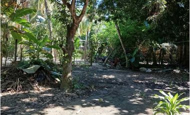 Lote En La Zona Hotelera De Palomino A Tres Calles Del Mar En Colombia