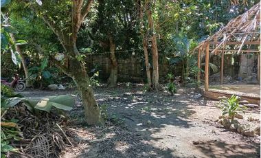 Lote En La Zona Hotelera De Palomino A Tres Calles Del Mar En Colombia