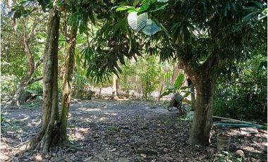 Lote En La Zona Hotelera De Palomino A Tres Calles Del Mar En Colombia