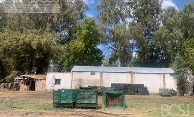 Finca en  9 de Julio
