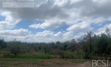 Finca en  9 de Julio
