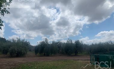 Finca en  9 de Julio