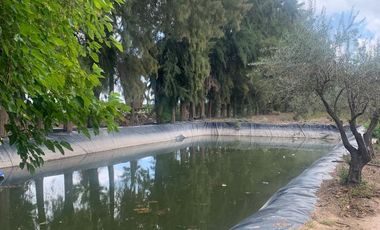 Finca en  9 de Julio