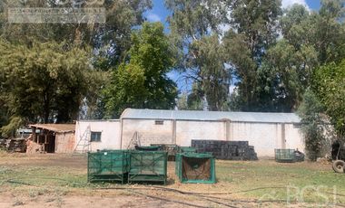 Finca en  9 de Julio