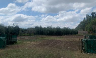 Finca en  9 de Julio