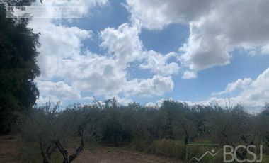 Finca en  9 de Julio