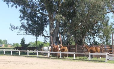 Vente - Casa - Haras El Malacate  Club de Campo - Exaltación de la Cruz