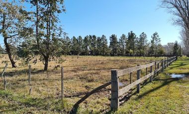Vente - Casa - Haras El Malacate  Club de Campo - Exaltación de la Cruz