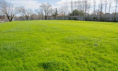 Departamento a estrenar en Las Liebres