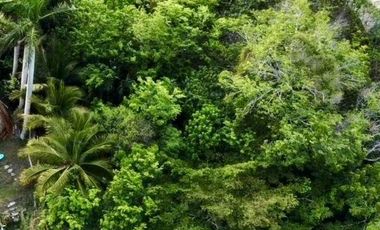 SE VENDE TERRENO DE 3000 m2 EN LA LAGUNA DE BACALAR