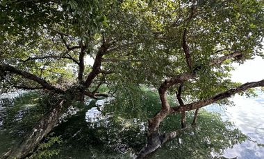 SE VENDE TERRENO DE 3000 m2 EN LA LAGUNA DE BACALAR