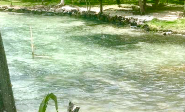 Se venden 15.3 hectáreas en la Laguna de Bacalar