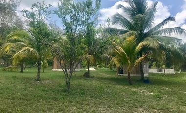 Se venden 15.3 hectáreas en la Laguna de Bacalar