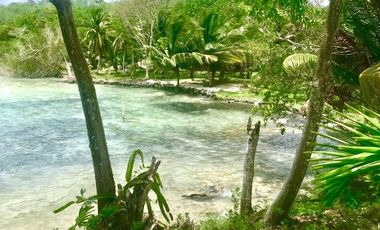 Se venden 15.3 hectáreas en la Laguna de Bacalar