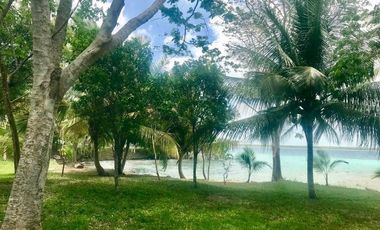 Se venden 15.3 hectáreas en la Laguna de Bacalar