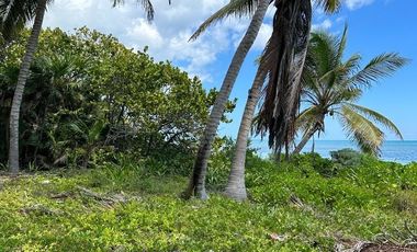 SE VENDE TERRENO EN MAHAHUAL CON 200 m EN LA PLAYA