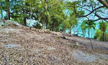 SE VENDE TERRENO EN LA LAGUNA DE BACALAR