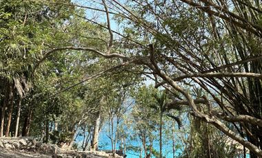 SE VENDE TERRENO EN LA LAGUNA DE BACALAR