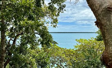 SE VENDE TERRENO EN LA LAGUNA DE BACALAR