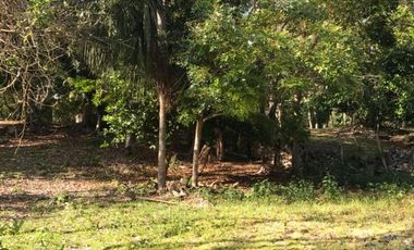 SE VENDE TERRENO EN LA LAGUNA DE BACALAR