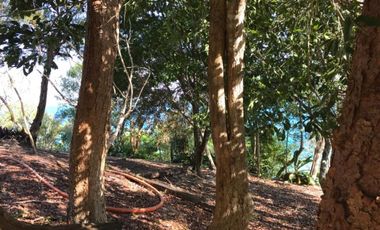 SE VENDE TERRENO EN LA LAGUNA DE BACALAR