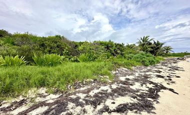 SE VENDE TERRENO ENTRE MAHAHUAL - XCALAK, FRENTE A LA PLAYA