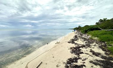 SE VENDE TERRENO ENTRE MAHAHUAL - XCALAK, FRENTE A LA PLAYA