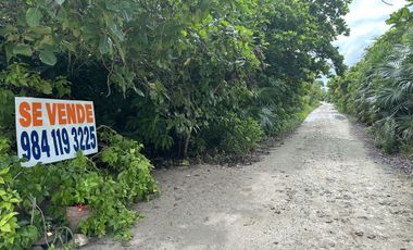 SE VENDE TERRENO ENTRE MAHAHUAL - XCALAK, FRENTE A LA PLAYA