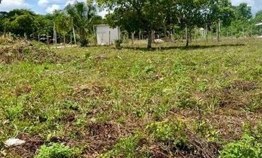 SE VENDE TERRENO EN BACALAR EN ZONA URBANA