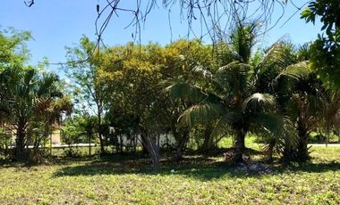 SE VENDE TERRENO EN BACALAR EN ZONA URBANA