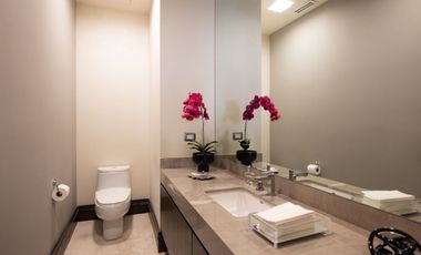 OFICINA EN VENTA TORRE SOFIA