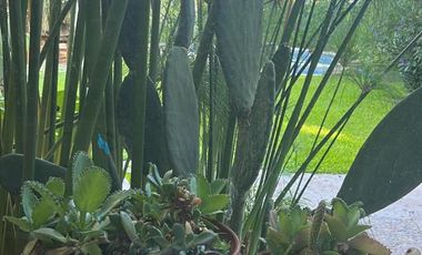 CASA EN 2 PLANTAS 3 DORMITORIOS JARDIN CON PILETA