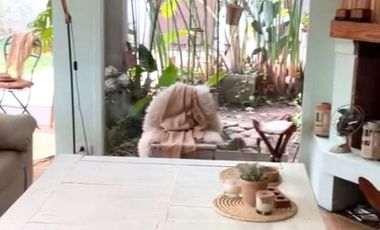 CASA EN 2 PLANTAS 3 DORMITORIOS JARDIN CON PILETA