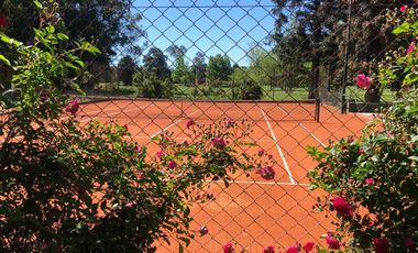 Campo - A.A.P.