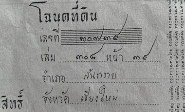 Land for sale in Mae Faek Mai, Chiang Mai