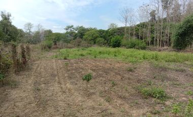 Land for sale in Mae Faek Mai, Chiang Mai